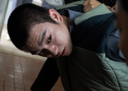 映画スチール　キャロル cca0b8236e5dc3a4fba60cb1748f69